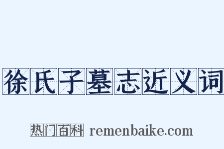 徐氏子墓志近义词是什么意思的图片